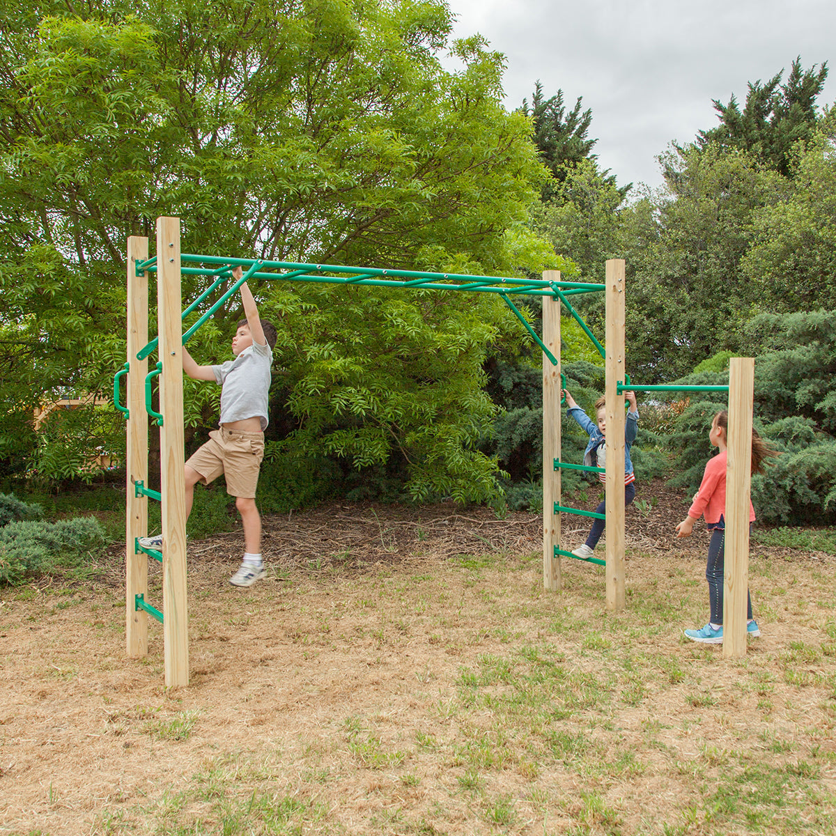 LIFESPAN KIDS AMAZON MONKEY BAR SET