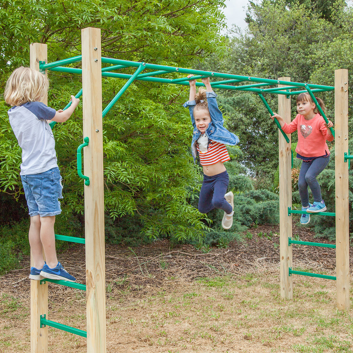 LIFESPAN KIDS AMAZON MONKEY BAR SET