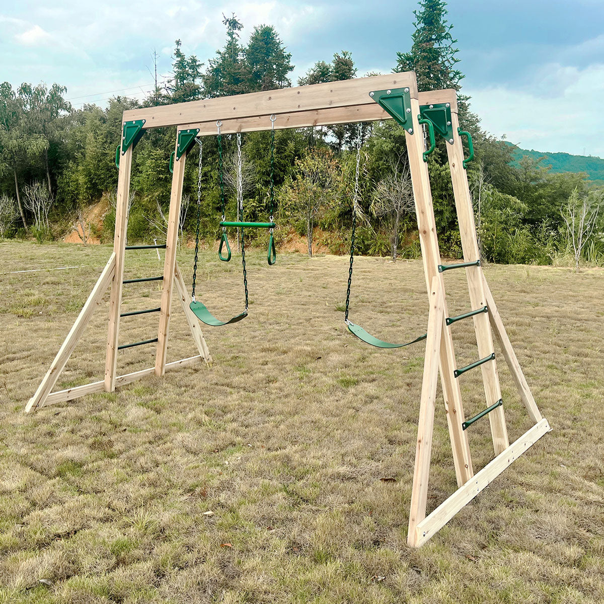LIFESPAN KIDS DAINTREE 2 IN 1 MONKEY BARS SWING SET