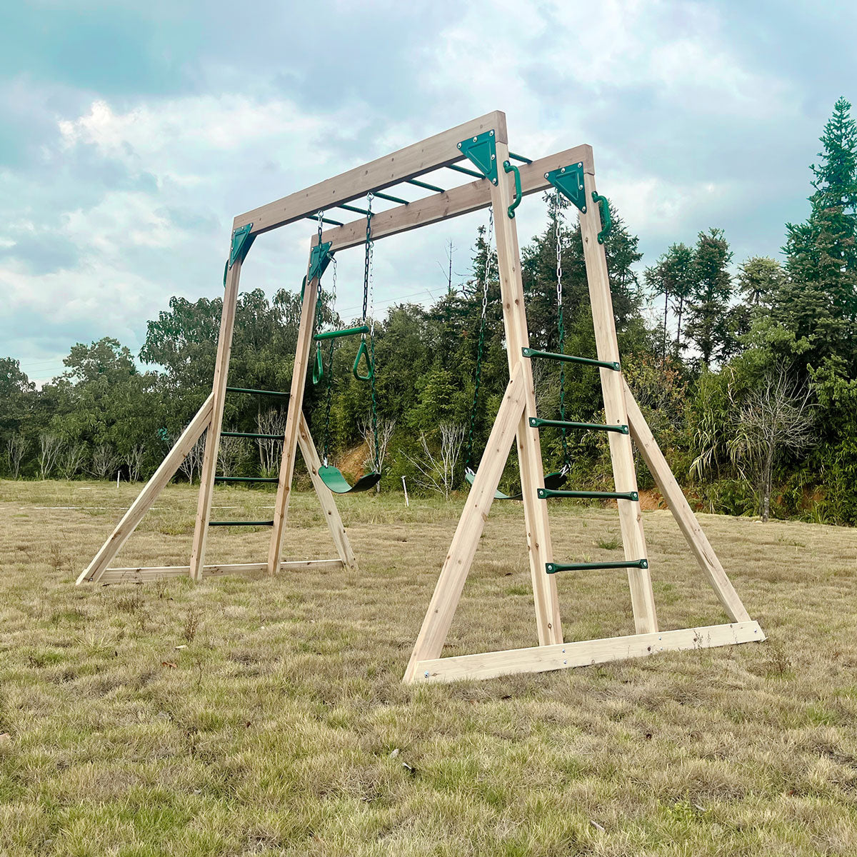 LIFESPAN KIDS DAINTREE 2 IN 1 MONKEY BARS SWING SET